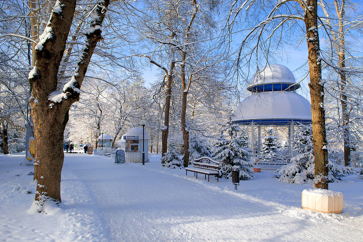 ВСТРЕТИМСЯ ЗИМОЙ! от санатория "Предгорье Кавказа" для наших дорогих клиентов