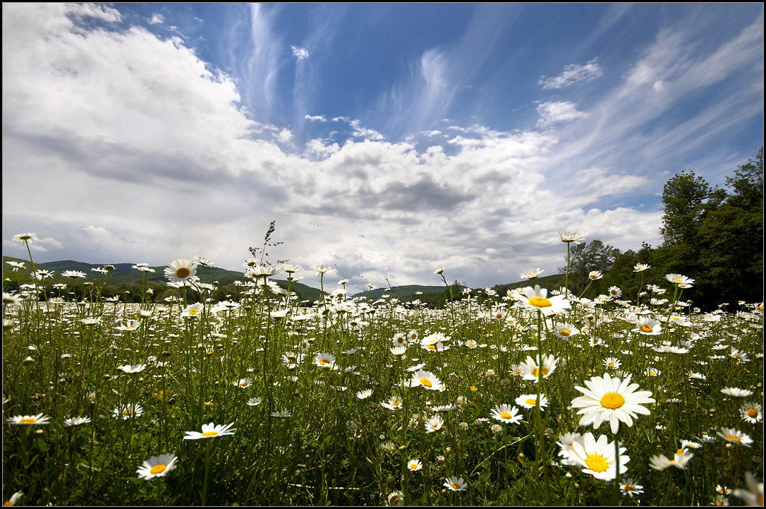 Догони лето! от санатория "Предгорье Кавказа" для наших дорогих клиентов