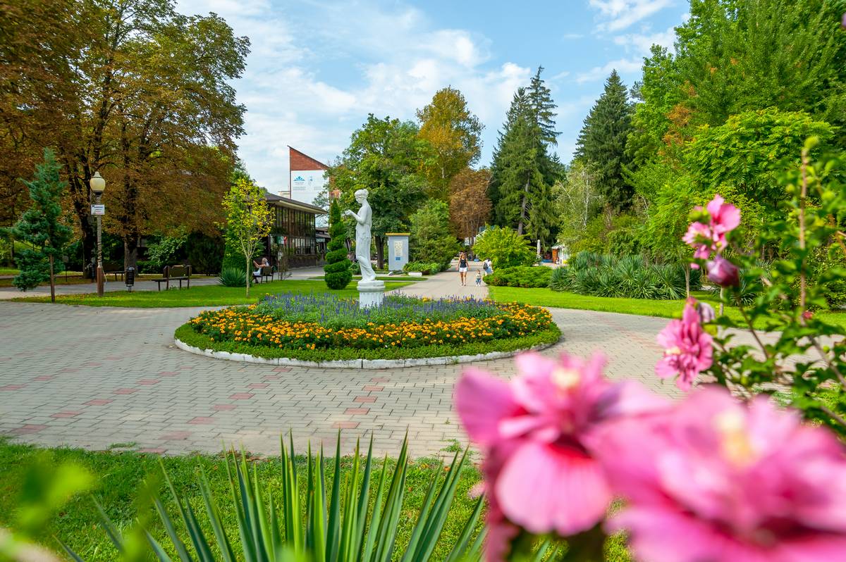 За окнами август…  санатория "Предгорье Кавказа" города Горячий Ключ