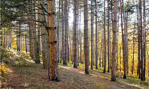 32. Маршрут терренкур (1).jpg