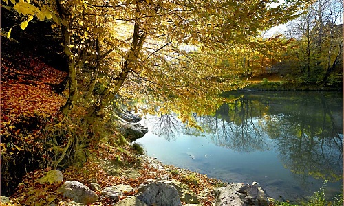 31. Листва не вечна в позолоте дней....jpg