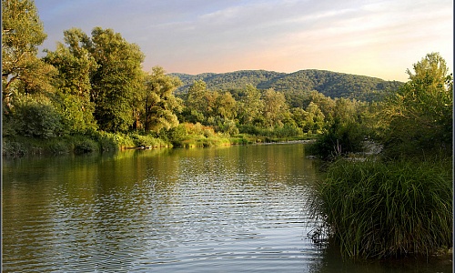 9.  Псекупс (2).jpg