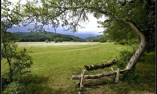 17.  Место свиданий (1).jpg