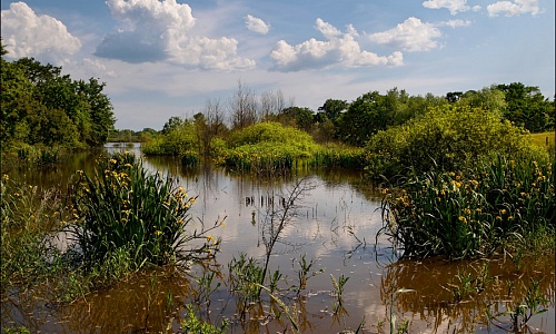 24. Старое русло.jpg